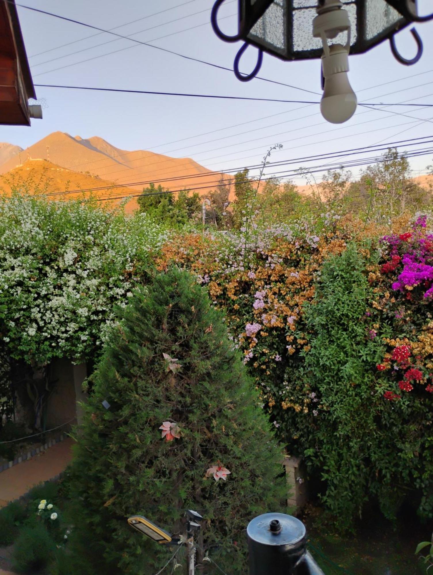 Hostal Donde Rita Vicuña Exteriér fotografie